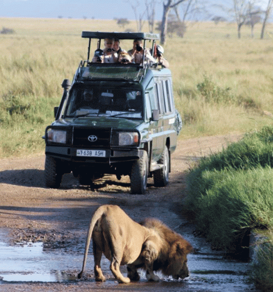 7 days Wildlife & Gorilla Trekking Rwanda Safari