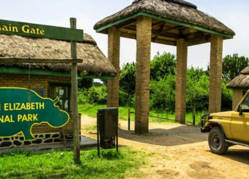 AFRICAN JUNGLE WILDLIFE SAFARI