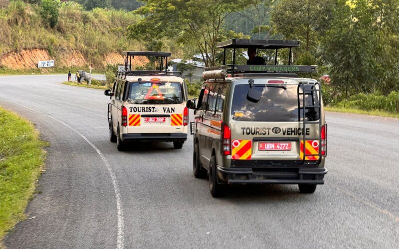 Renai Safaris
