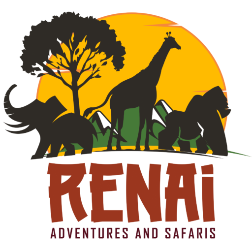 Renai Safaris