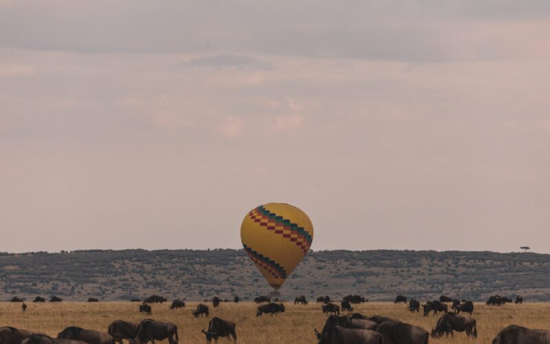 Africa Safari Packages