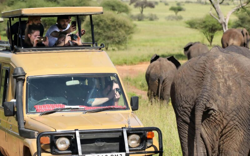 Africa Safari Packages