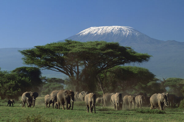 Arusha-National-park