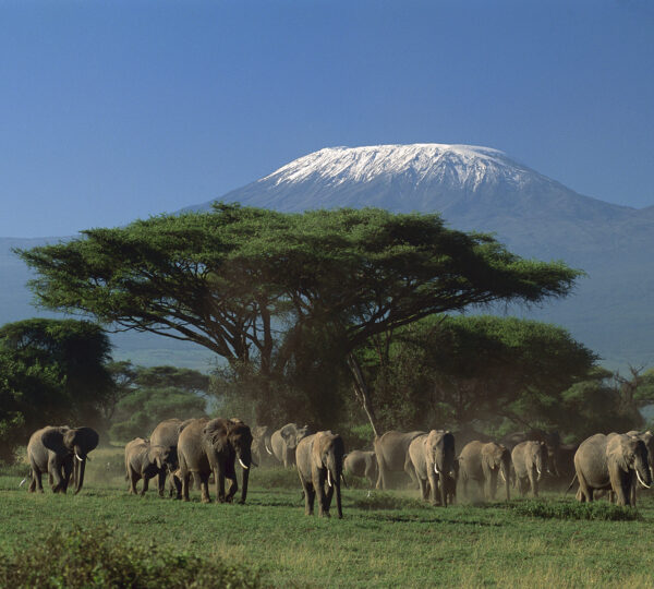 Arusha-National-park