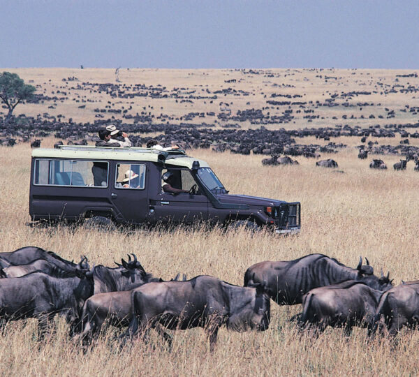 Maasai-Mara-National-Reserve