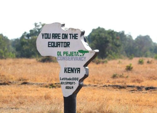 Northern Kenya Safari Experience