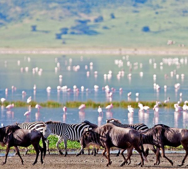 NorthNgorongoro