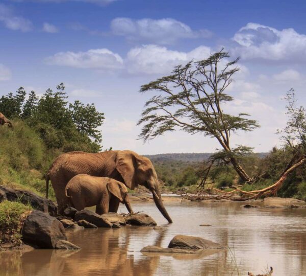 samburu-np