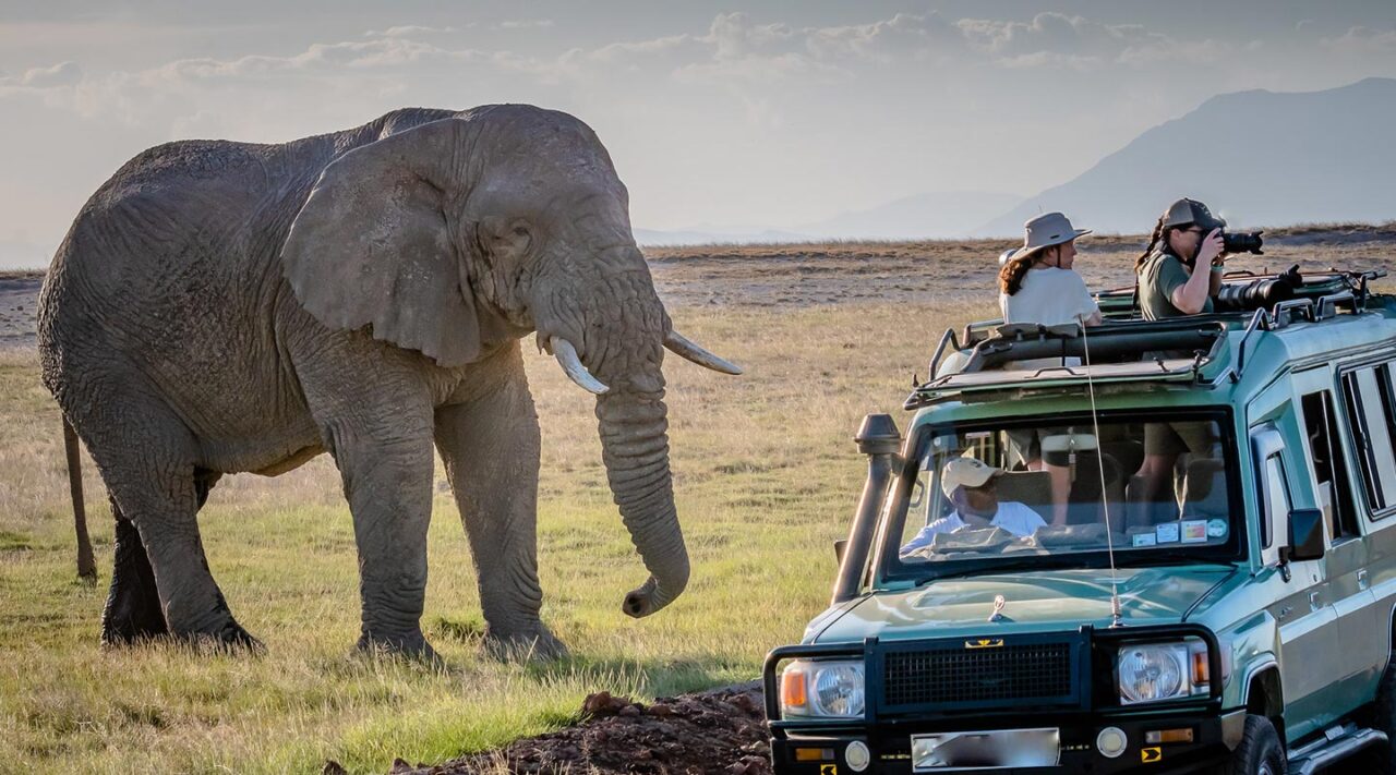 Game Drives in Uganda