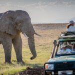 Game Drives in Uganda