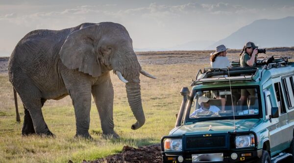 Is a Game Drive Worth It?