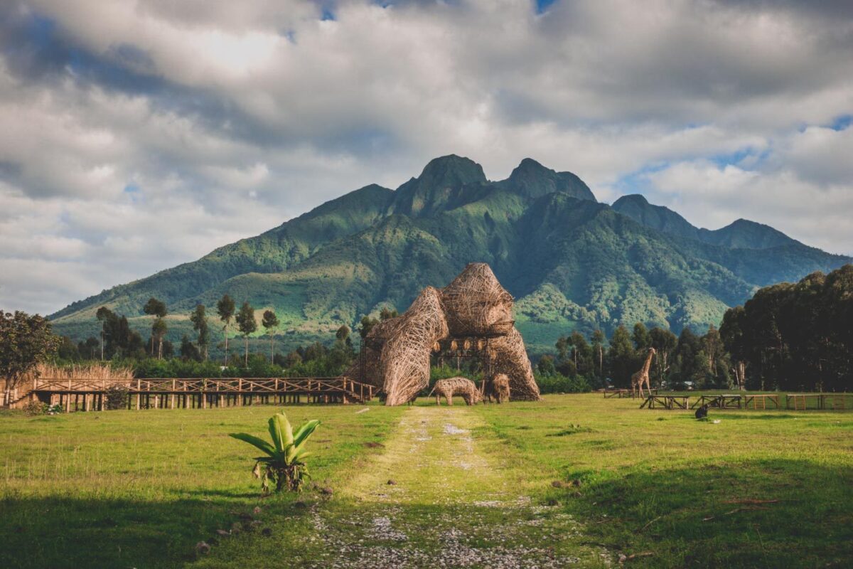 Tour Trip to Volcanoes National Park in Rwanda