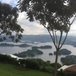 Uganda Safaris Experiences