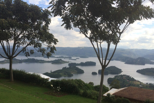 Uganda Safaris Experiences