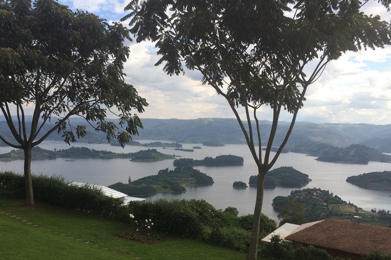Uganda Safaris Experiences