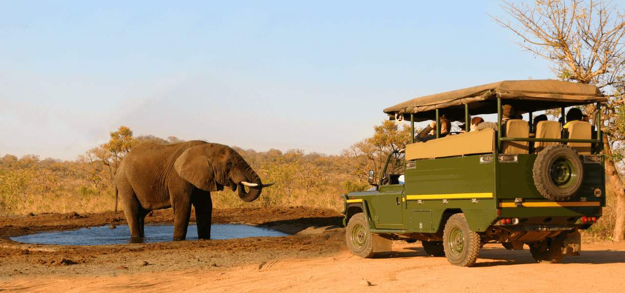 East Africa Wildlife Experiences