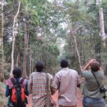 Birding Along the Royal Mile in Budongo