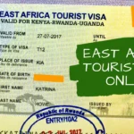 Do I Need a Visa or Vaccinations to Enter Uganda?