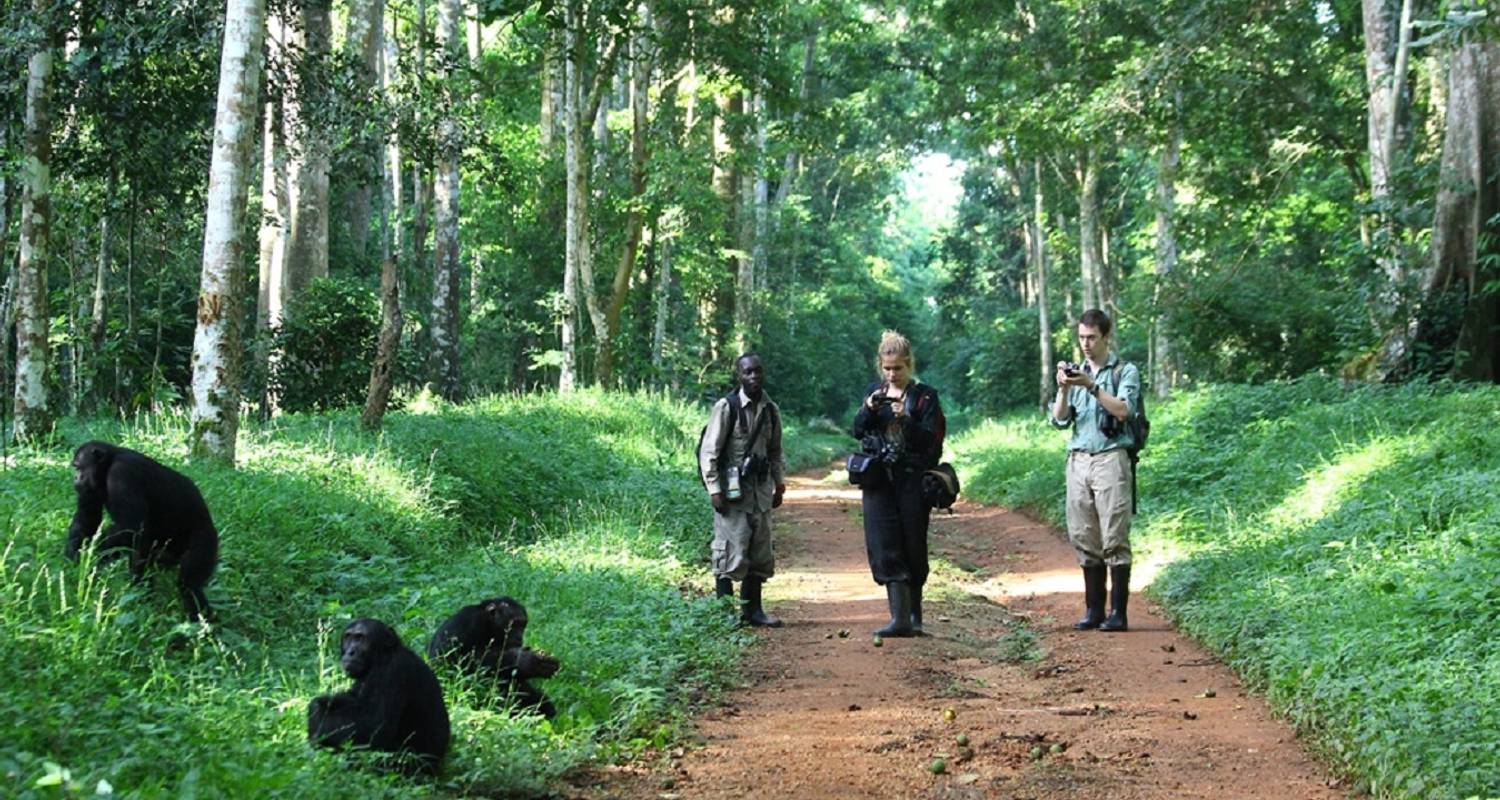 Where is the Kibale National Park?