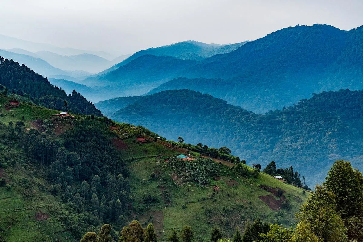 Bwindi Impenetrable National Park