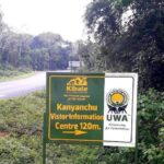 What Animals Are in Kibale National Park?