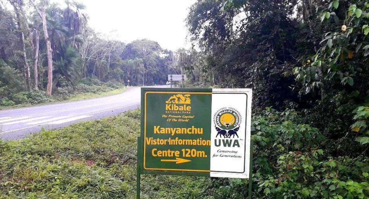 What Animals Are in Kibale National Park?