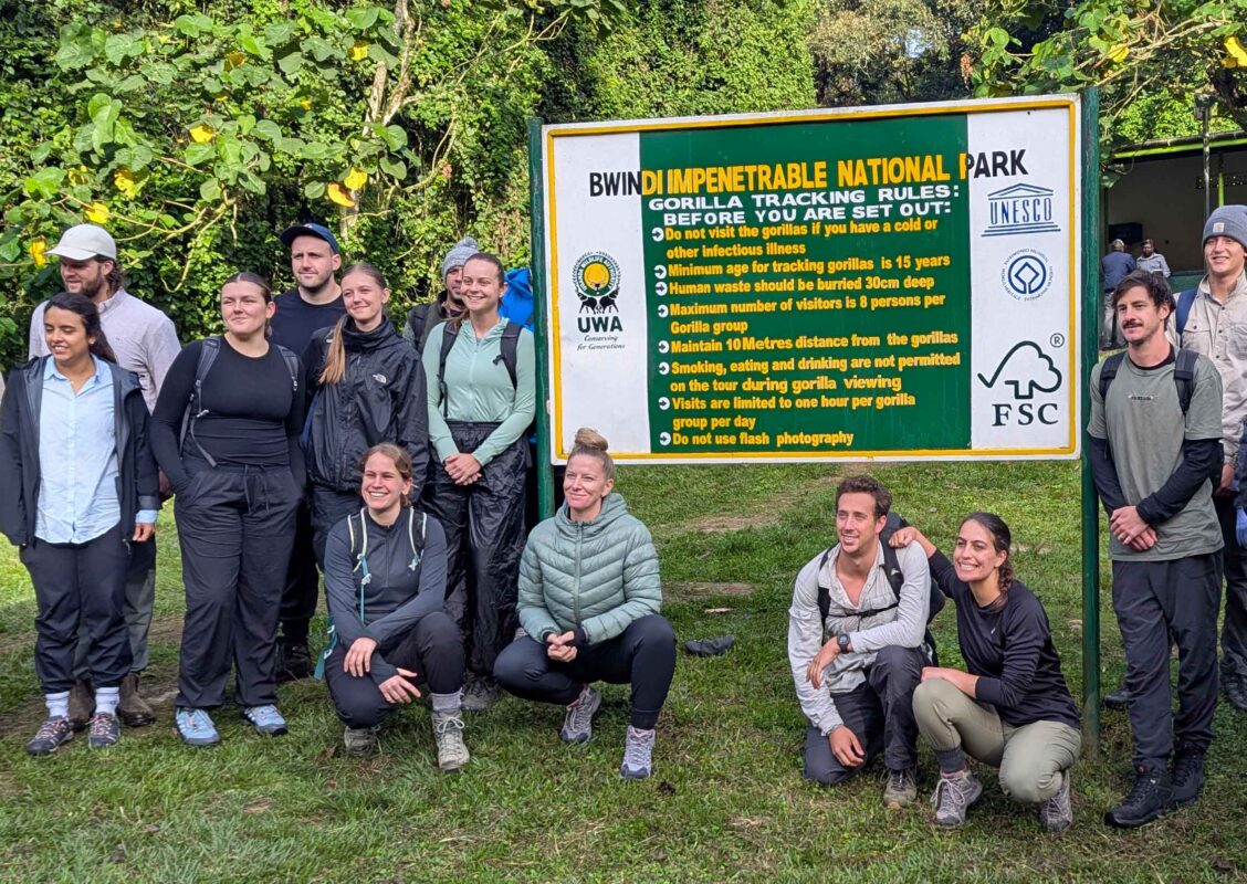 Where Can I Do Walking Safaris in Uganda?