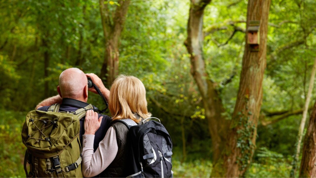 How Accessible Are Remote Migration Areas for Travelers?