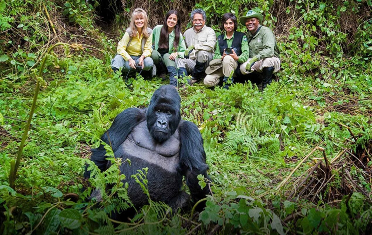 How Can I Prepare Physically for Gorilla Trekking in Uganda?