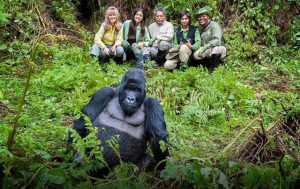 How Can I Prepare Physically for Gorilla Trekking in Uganda?