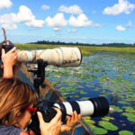 How Do I Book a Uganda Birding Safari?