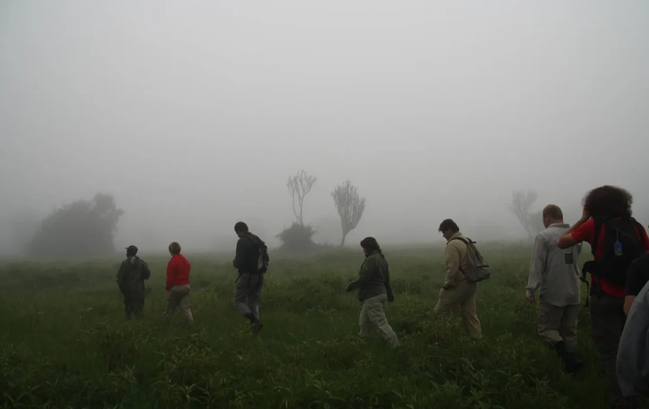 How Long Does a Walking Safari in Uganda Usually Take?