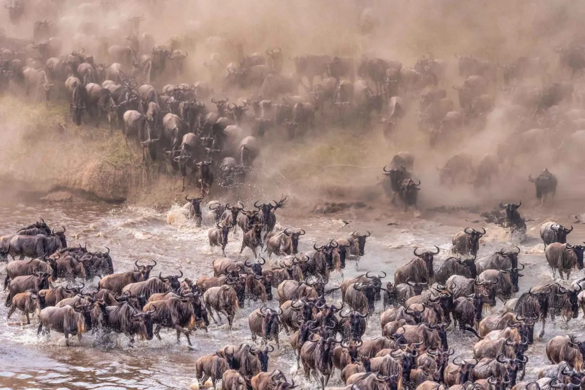 How Long Does the Great Migration Last Each Year?