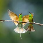 How Many Bird Species Can I See on a Uganda Birding Safari?