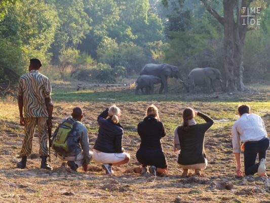 How Many People Are Allowed Per Walking Safari Group?