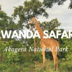 Is Akagera National Park Worth Visiting in Rwanda