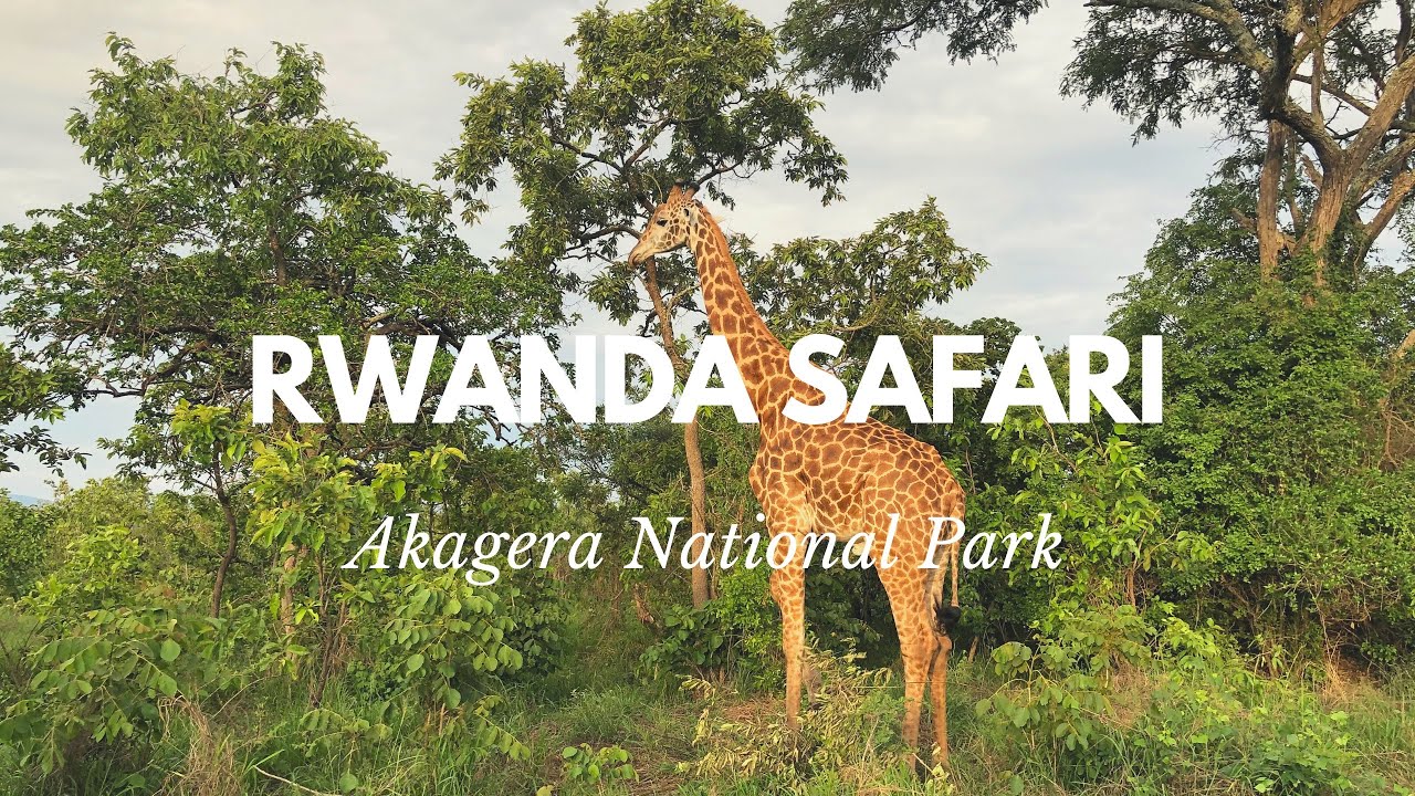 Is Akagera National Park Worth Visiting in Rwanda