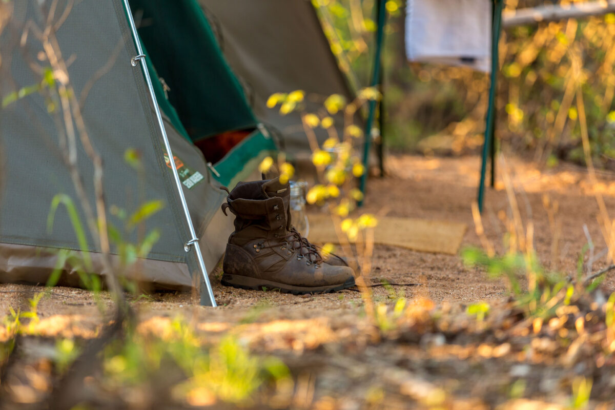 Is Camping Included in Multi-Day Walking Safaris?
