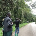 Is Kibale Forest Suitable for Birdwatching?
