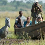 Are Boat Safaris Included in Uganda Birding Tours?