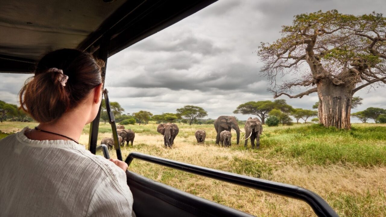 Are Cross-Border Safaris Popular in East Africa?