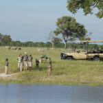 Are Game Drives Safe for Children and Families?