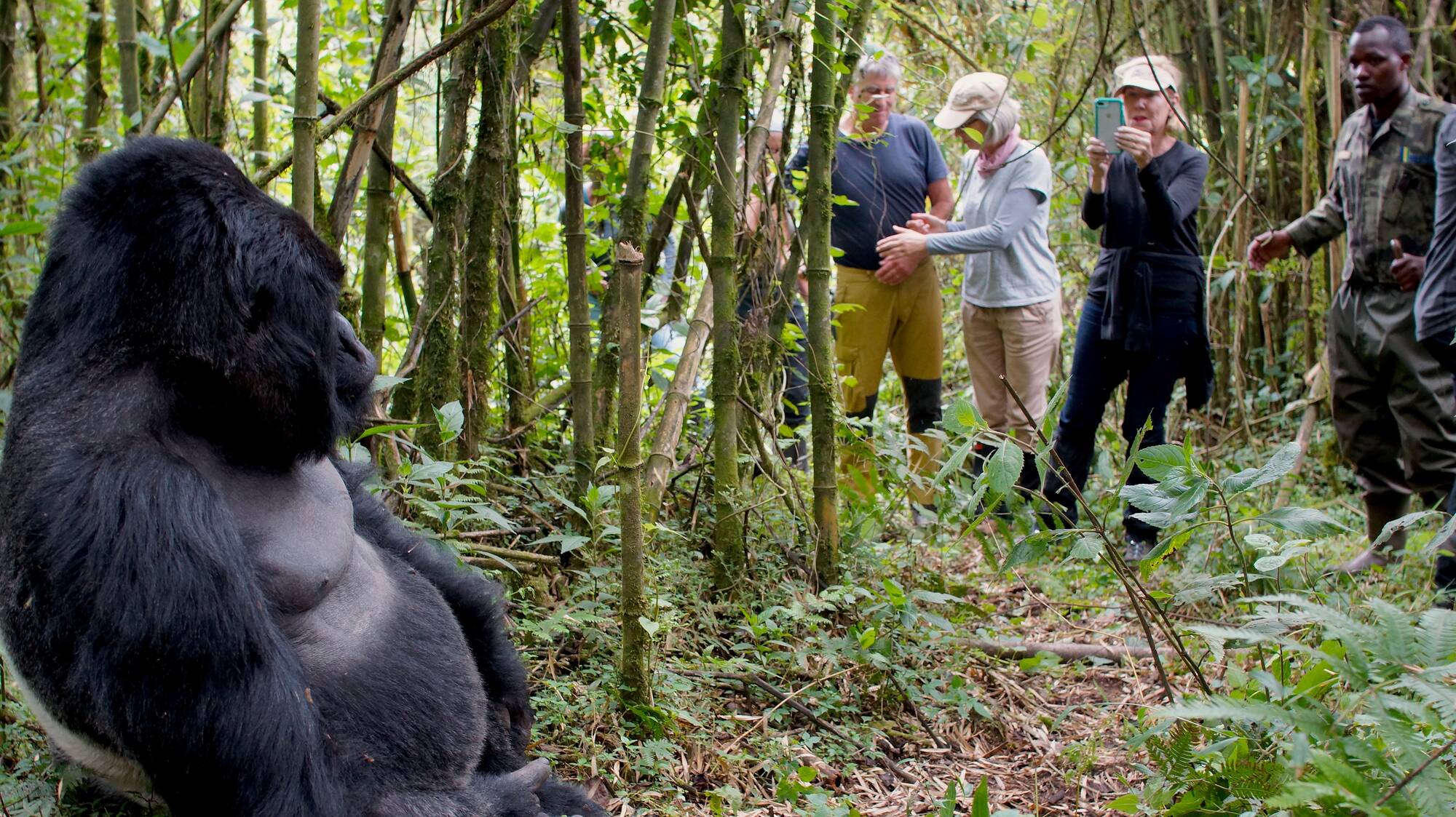 Are Gorilla Trekking Safaris safe for solo travelers in Rwanda?