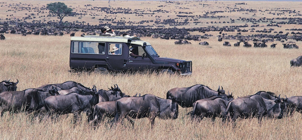 Are There Luxury Safari Options for the Great Migration?
