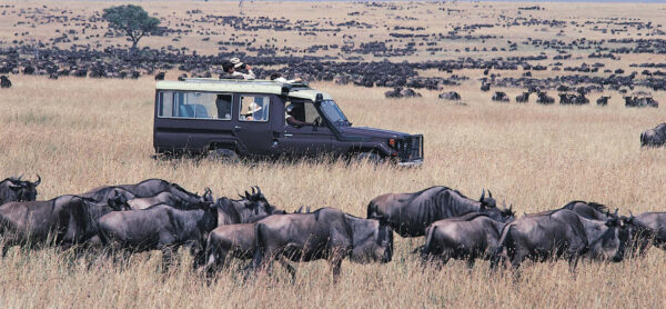 Are There Luxury Safari Options for the Great Migration?