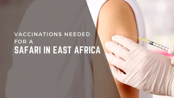 Are vaccinations required for visiting Tanzania and Kenya during