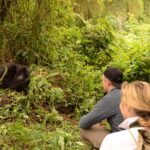 Can Children Participate in Gorilla Trekking Safaris in Rwanda?