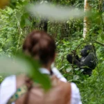 Can Children Under 15 Participate in Gorilla Trekking in Rwanda?