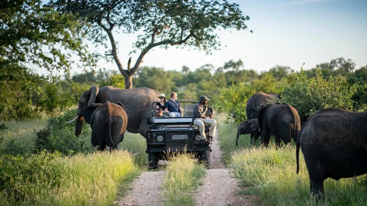 Can I Combine Wildlife Safaris with Cultural Safaris?