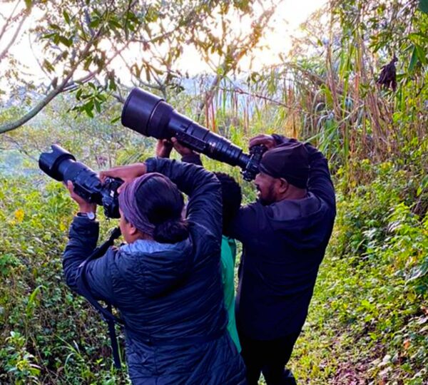 Guide to Bwindi Impenetrable Forest National Park 2027